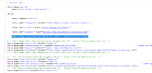 meta tags in your website source code 